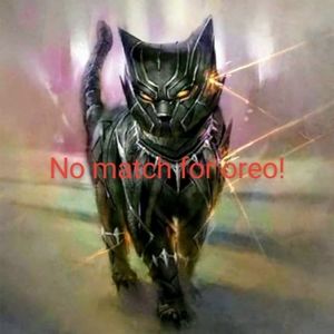 Meet your Posher, Rich